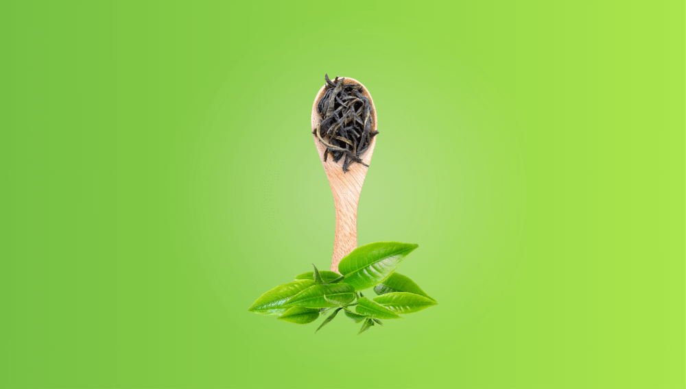 Leaf Tea