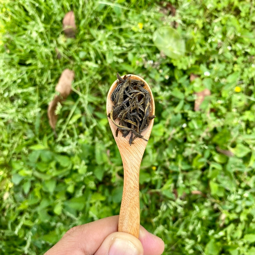Naturolled Green Tea | Best Green Tea For A Natural Taste