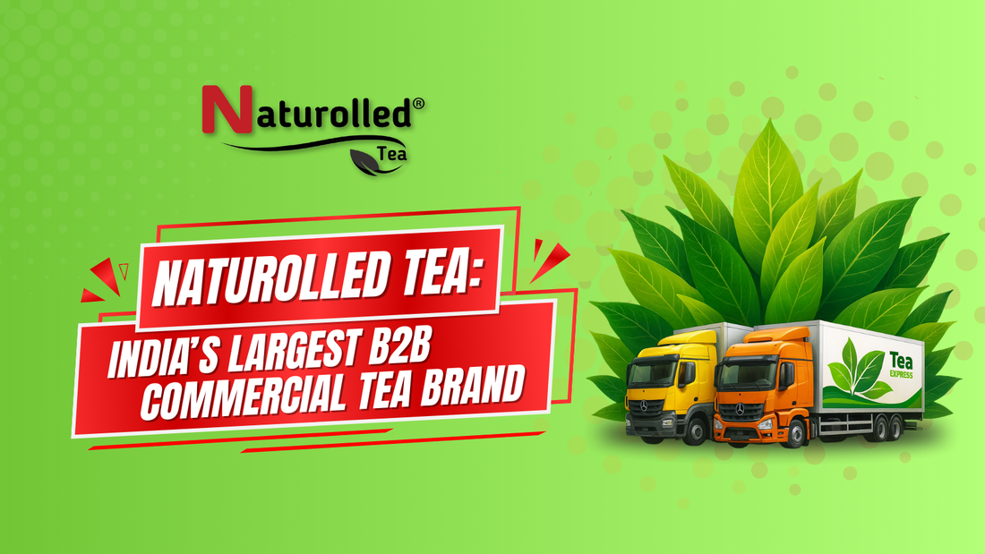 Naturolled Tea is Now India's Largest B2B Commercial Tea Brand
