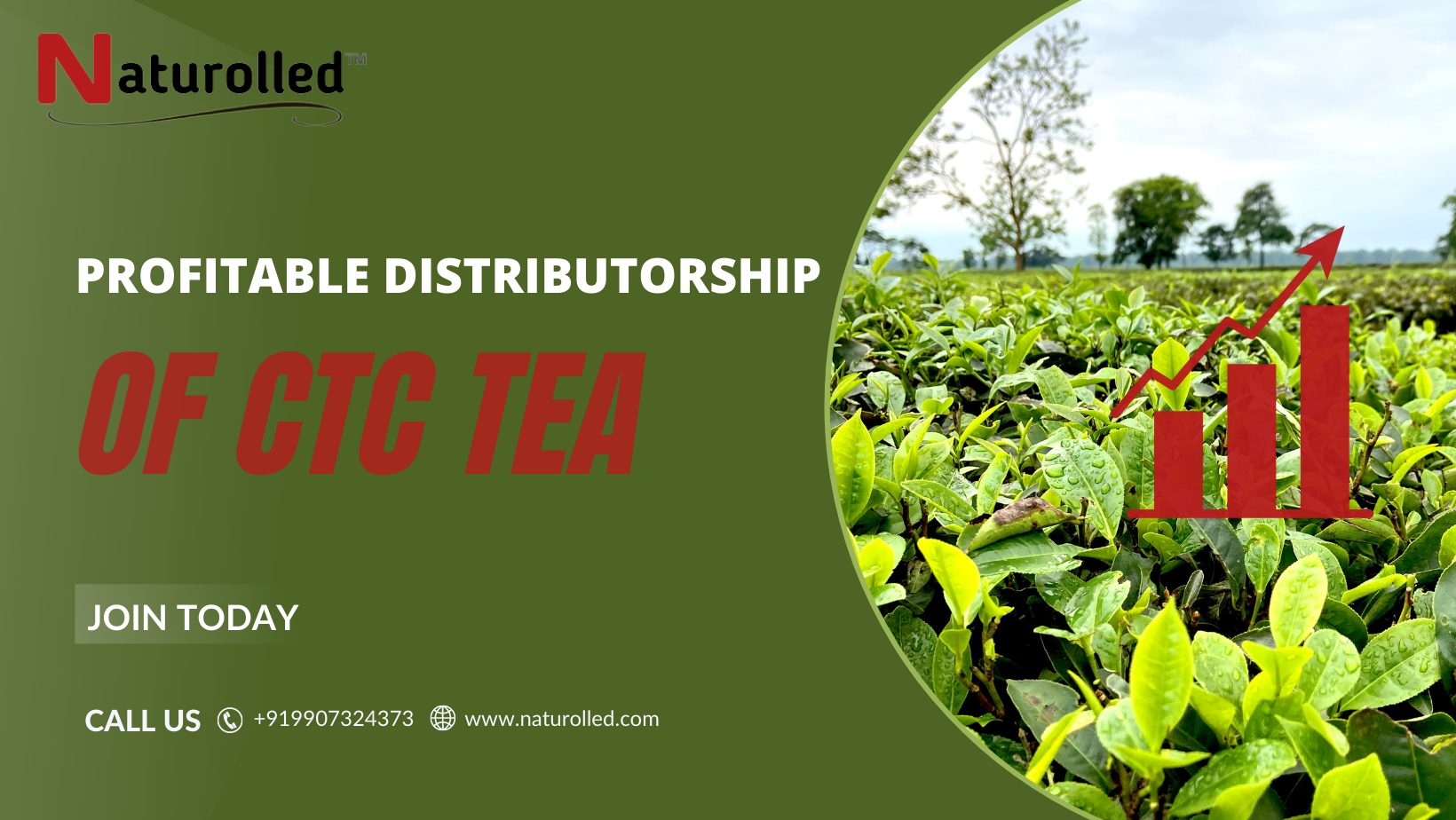 Start Your CTC Tea Business With a Distributorship